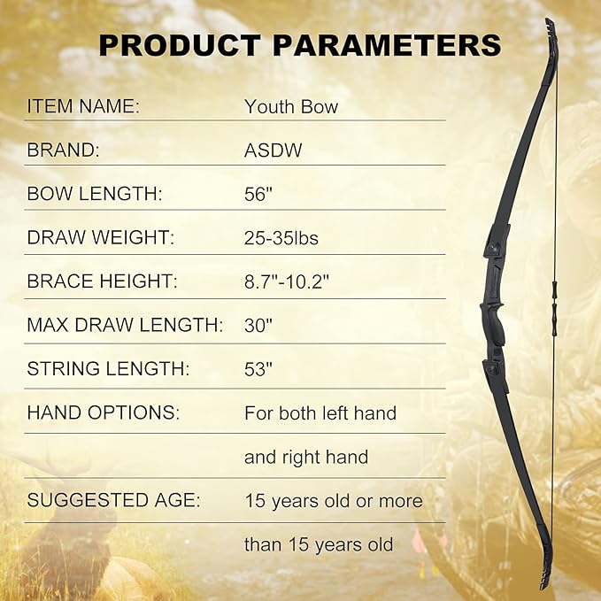 Archery Bow Set Recurve Bow and Arrow Youth Bow and Arrow Beginner Bow Set